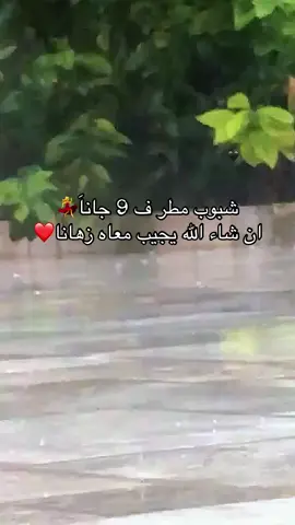 #شعب_الصيني_ماله_حل😂😂 #مطر #شبوب_مطر_في_تسعه_جانا #زليتن_ليبيا_زليتن_وأحلى_زليتن 