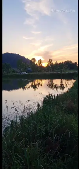 دیوشل (Diyoshāl) یکی از روستاهای خوش‌آب‌وهوای شهرستان لنگرود در استان گیلان هست 🌿 🌿 دیوشل لنگرود؛ بهشت گمشده‌ای میان جنگل و دریا 🌊 جایی که آرامش طبیعت با صدای پرنده‌ها و عطر چای تازه یکی میشه 🍃✨ #دیوشل #لنگرود #گیلان #ایرانگردی #طبیعت_گردی    