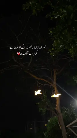 اُس کو عزیز تھا باقی سب کُچھ ،مجھے کھونا مناسب سمجھا اُس نے🖤 #aestheticvideos #foryoupage❤️❤️ #fyp 