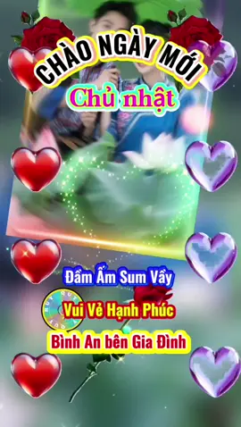 #chaongaymoi #thanhquy #giaitritiktok #vuicungtiktok 