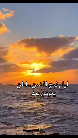 #اكسبلور 
