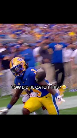 WHAT A SNAG FROM CATAURUS HICKS IN THE END ZONE FOR PITTSBURGH 😱 #cfb #football #CollegeFootball #Pitt