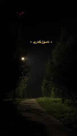 راستە ؟😍🫡                                              #هۆگرم🌚✨ 