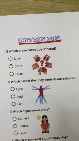 Anatomy Quiz - Can you get 7/7? #anatomy #greysanatomy #quiz #quiztime #trivia 