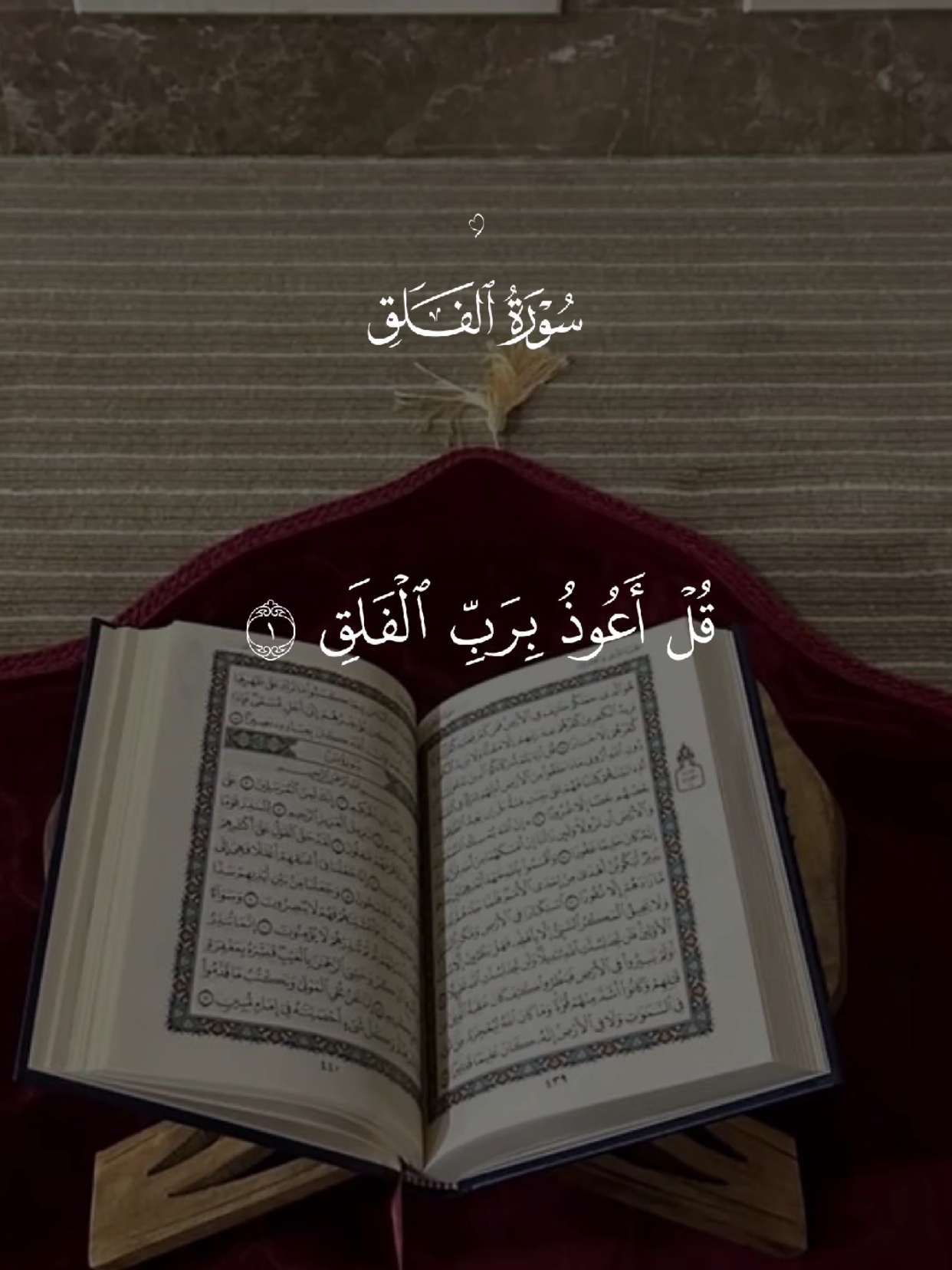 سورة الفلق 🤍 #قران #quran #قران_كريم #quran_alkarim #القران_الكريم 