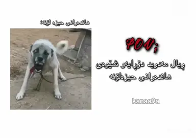 وامەزانن درم زۆر خۆشە بەخوای ئەوڕۆ ناخۆشترین ڕۆژە بەس ویستم جوابی ئەو گووخواردنانە بدەمەوە☺️#foryou #fypシ゚ #tiktok #actives? #foryoupage 