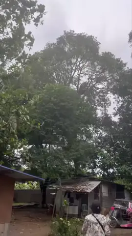 Bahay nabagsakan ng sanga #biyahengda17v #bogieminivan #krazietech #bogitotv 