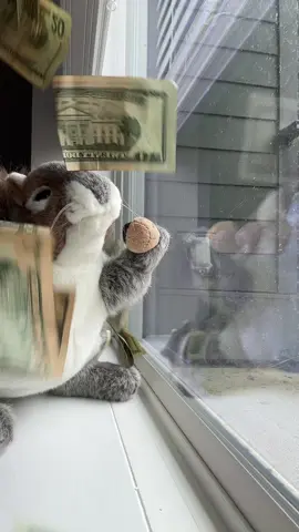 Nutella says: get yo money up 🤑 #dancing #money #moneymindset 