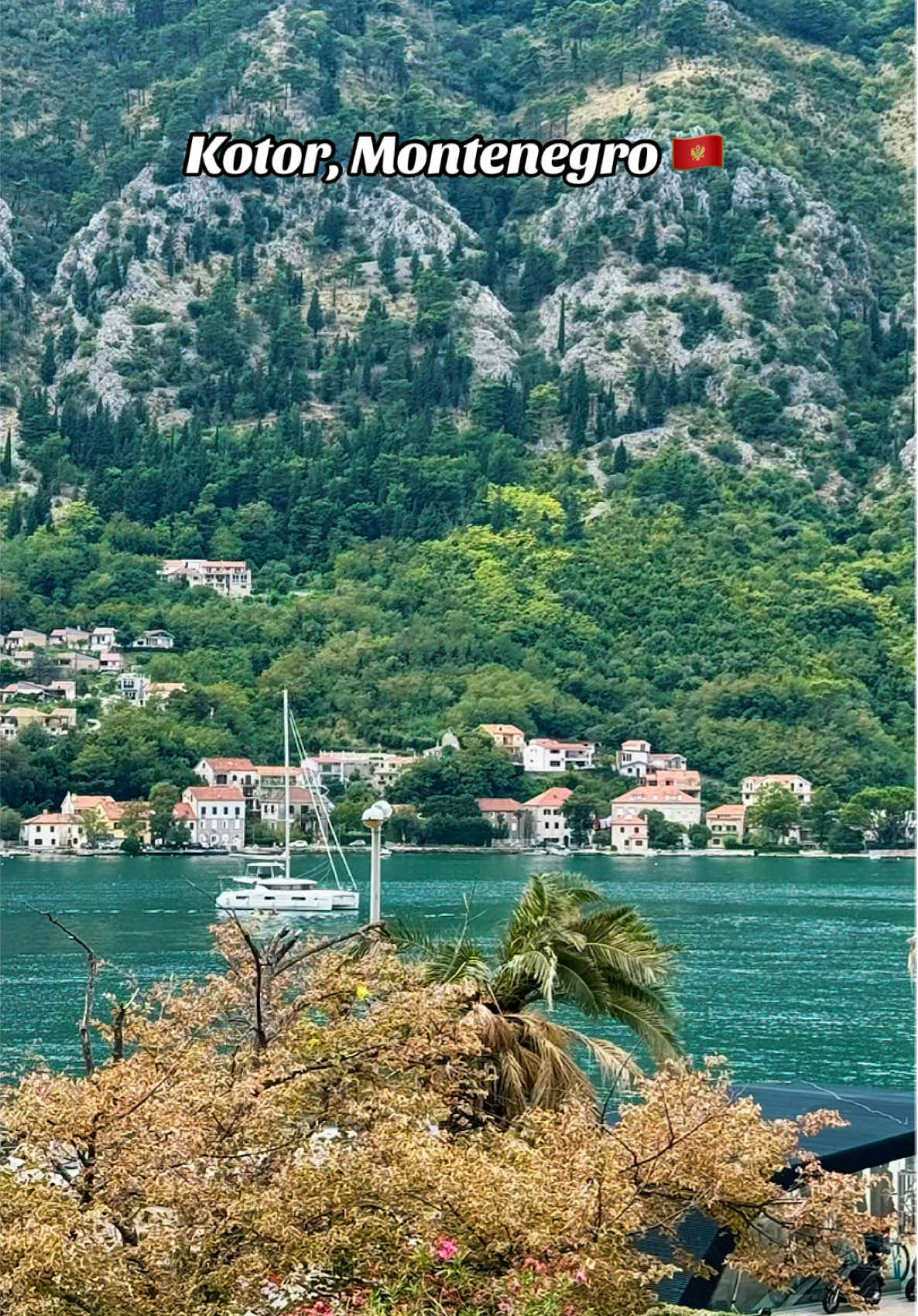 This is Europe’s best-kept secret. 🤫 👇 Tap play before it gets crowded.  #TravelThroughMyLens #Kotor #Montenegro #HiddenGem  #CapCut 