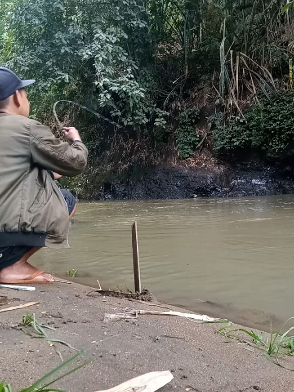 padahal nyangutna mah gote, tapi lihat🤔#mancingliar #mancingdisungai #spotwader #ikanmas