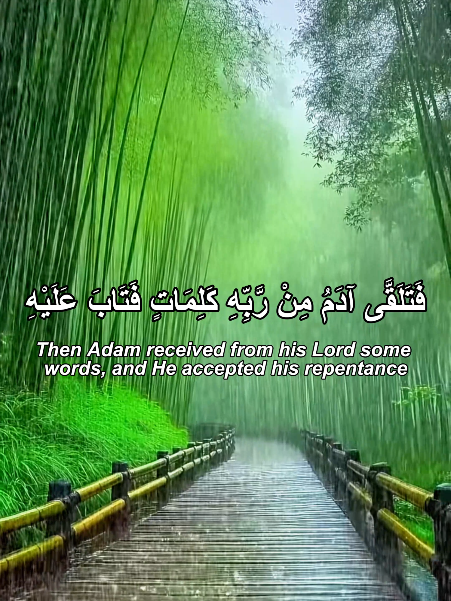 SURAH AL BAQARAH(HAFIZ AHMAD)#quranvoiceintenational #FYP #VIRAL #tiktokuk #foryoupageofficial #foryoupage❤️❤️ #englishtarjumma❤️❤ #surahalbaqarah #QuranReflection #alqurankarim #BEAUTIFULQURAN #UNITEDKIGDOM #IslamForYou #LearnQuran #TILAWAT #IslamicContent
