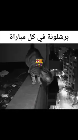 #برشلونة_اكثر_من_مجرد_نادي❤💙 #ريال #برميل #برشلونة❤️ #الشعب_الصيني_ماله_حل😂😂🙋🏻‍♂️🇧🇭_ #تيكي #تاكا #العراق🇮🇶🇮🇶🇮🇶🇮🇶🇮🇶🇮🇶 