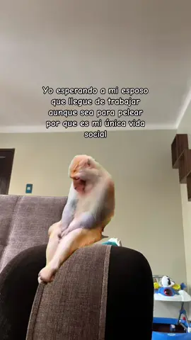 Asi sea para pelear🤣🤣😂 #Meme #MemeCut #trabaj #esperar 
