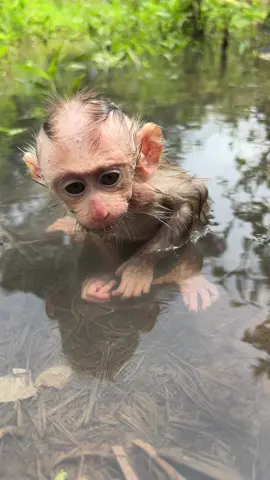 #foryou #viral #tiktok 
