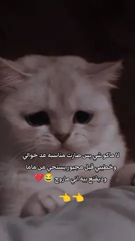 بنات وصلن هذا المنشور 2000خل ينفتح الحضر 💔 انتن كدهـاا 
