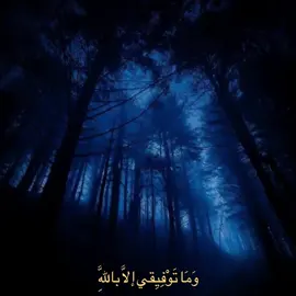وَمَا تَوفِيِقي إلاَ باللهَِّ . #محتوى #قران_كريم #استغفرُالله_واتوب_اليه_من_كل_ذنب_يارب 