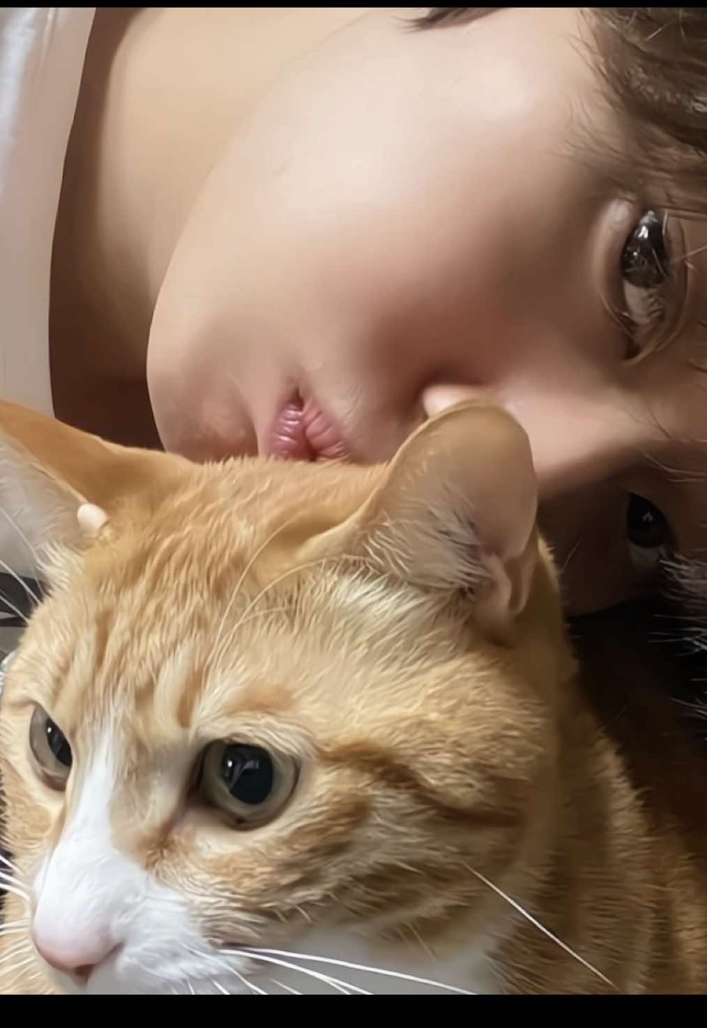 the cat whisperer #straykids #leeknow #leeminho 