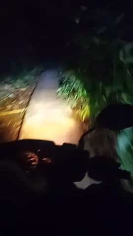 penampakan 🤣