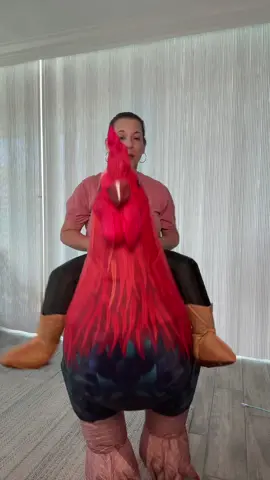 Get the funniest Halloween costumes of the year! #halloween #costume #inflatable #rooster #trickortreat 