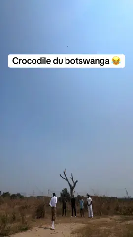 Crocodile dû botswanga suite 😂 #lecaleb2 #crocodiledubotswanga #presidentbobo 
