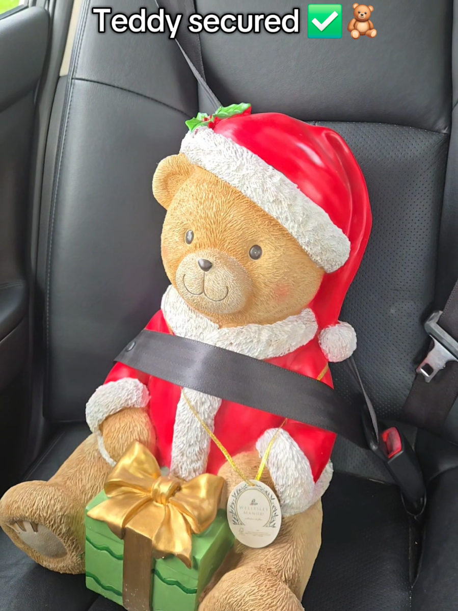 He's beary cute!! 💚❤️🧸🎁 @Marshalls  - - - - - - #teddybear #marshalls  #viralfinds #tistheseason  #christmasdecor 