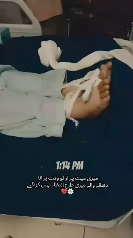 no revenge  take all the blame and disappear from their lives 🫀🔥🔥🔥🚫🥀🥀🥀🥀#medico #LRHain #foryoupage❤️❤️ #foryoupage #peshwar 