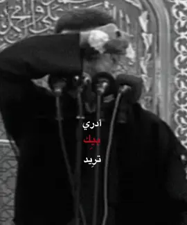 ابچي وحدك انه ساكت ..❤️‍🩹#باسم_الكربلائي 