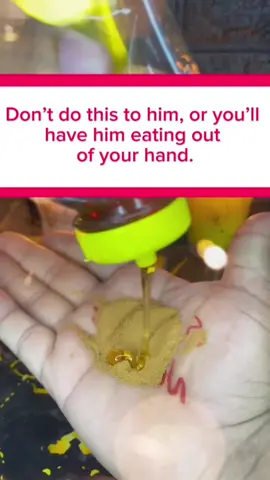 If you do this to him, you won’t be able to get rid of him. You must know who you’re doing it to, because once it’s done, there’s no turning back. To perform this powerful ritual, simply write that person’s name three times on one side and your name three times on the other side. Then enclose them with a circle, separately, just as I show you. In the middle, draw this powerful rune, which will make the spell work. Don’t forget to activate the rune with a little of your saliva on top of it. Then burn it while visualizing and thinking of that person. Do it with great faith, and you’ll love the results you get. For deeper and more personalized work, write to me at the number in my profile. Decree and give thanks. #witch #witchtok #witchcraft #witches #Florida 
