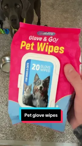 Dr paws pet glove wipes #petglovewipes #petwipes #dogbathing #glovewipes #groominghacks 