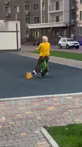Тигриний настрій на Каманіна , дівчата та спорт 🤣👌🏻👆🏻