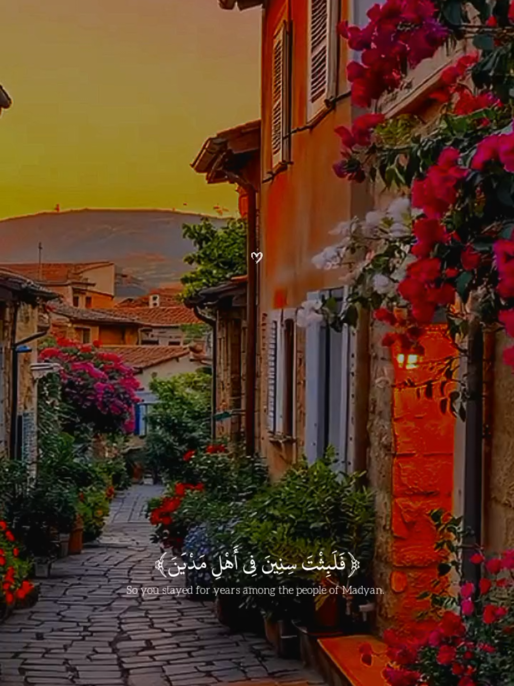 تلاوه جميله ومؤثره ل القارئ الصغير عبدالله احمد شعبان حفظه الله 🤍🍁.  #القران_الكريم #قران #راحه_نفسيه #quran #fpy 