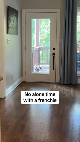 Even when I'm inside working in the kitchen, he has to have his eyes on me. I love this dog. Frenchies rock! But never be disillusioned that you will have a alone time. #velcrodog #watchingme #frenchie #frenchbulldog #lovemyfrenchie 