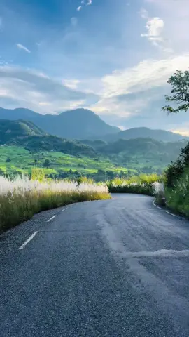 Dashain aayo 🤩🤩#fyp #dashain #pokhara #mountain #