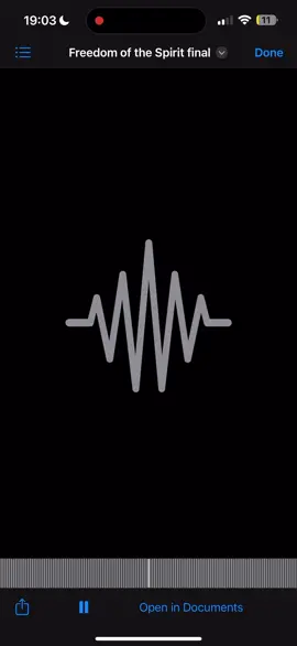 Freedom of the spirit 🤲🏾 SoundCloud in BIO ☁️ #techno #acid #house #fyp #music 