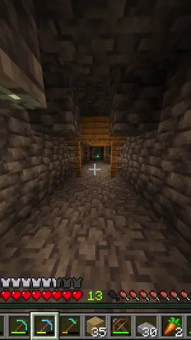 forgot skeletons could pick stuff up especially shields #🤔 #funny #foryou #fyp #Minecraft 