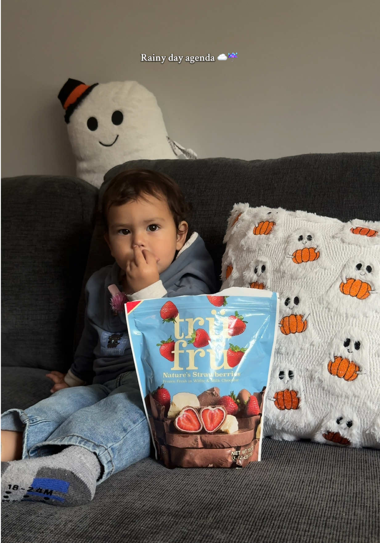 Movies and cozy snacks all weekend long 🤭  @Trü Frü #Foodie #halloween #halloweendecor #homedecor #pumpkindecor 