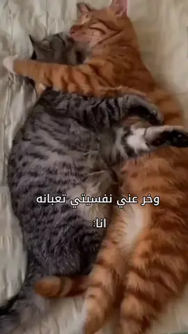 زوجتي المستقبليه اطلعي طلعت روحك🙂💔#fyp #tiktok #الشعب_الصيني_ماله_حل😂😂 #مالي_خلق_احط_هاشتاقات🧢 
