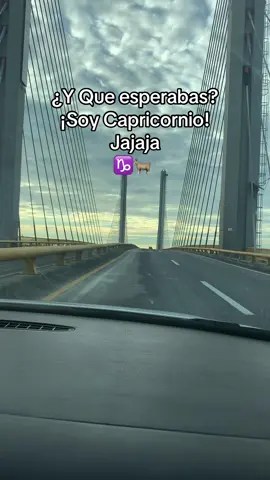 ♑️🐐 #contenido  #viral  #capricorn  #zodiaco #signozodiacal 