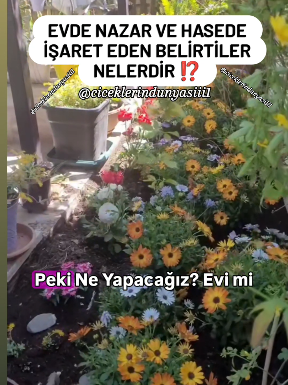 Sizinde Evinizde Nazar ve Hasede İşaret Eden Bu Belirtiler Bulunuyorsa Bu Duayı Okuyun 👇  Euzû kelimatillahi tammati min şerri külli şeytanin ve hammatin ve min şerri külli aynin lamme Aminn 🤲 Videoyu Faydalı Bulduysanız Kaydetmeyi Beğenmeyi ve Sevdiklerinizle Paylaşmayı Unutmayın Teşekkürler 💐  #ciceklerindunyasiii1  #nazar #hased #nazarduası🧿 #keşfette 