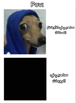 منشنه 🤣🔥 @ #تصمبم_فيدهات🎶🎤🎬 #الشعب_الصيني_ماله_حل😂😂🏃🏻‍♀️ #سودانيز_تيك_توك_مشاهير_السودان🇸🇩 