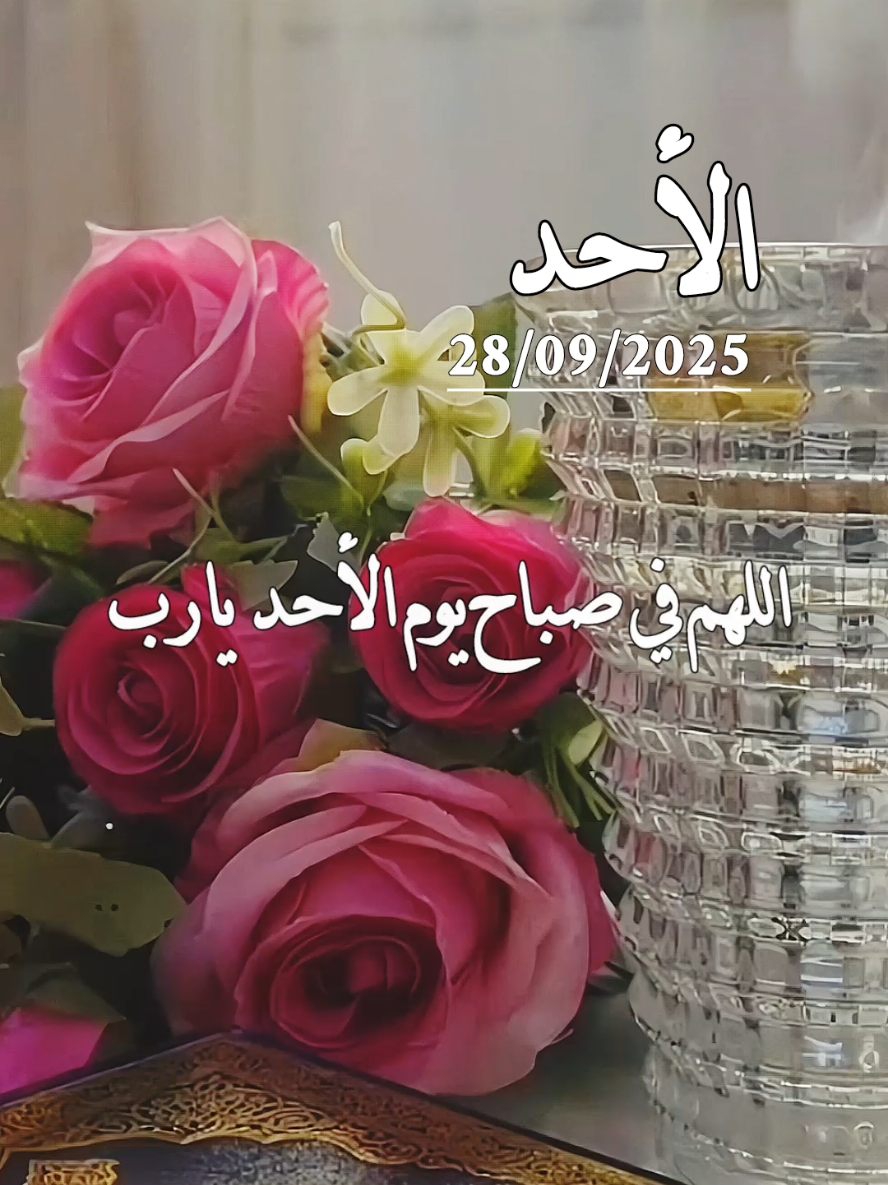 دعاء يوم الأحد 28/09/2025 .اللهم في صباح يوم الأحد يارب #دعاء #الاحد #دعاء_الصباح #دعاء_يوم_الاحد #صباحكم_معطر_بذكر_الله 