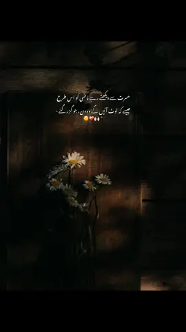 Hmm Wallah ✨😌 | @٭  5k fallowers plezzz 🙈 #ayezy_aesthetix #fypppviralllシ #goviral #viewsproblem😭 #unfreezemyacount 
