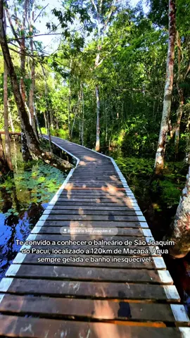 O balneário é aberto ao publico, só encher sua Cuba e correr pro abraço. #amapa #balneario #fyp #marcantes #wildlife 