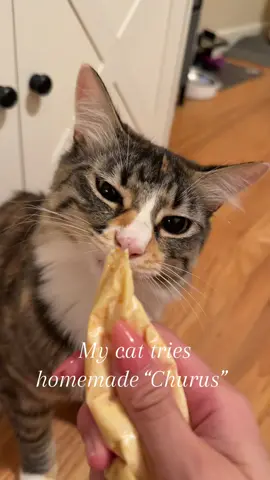 Sound on for full experience 🙈#creatorsearchinsights #catsoftiktok #catasmr #cattreats #lickablecattreats 