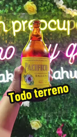 Me dicen todo terreno  #hakunacahuama #litrospreparados #micheladaspreparadas #chelitas #micheladas 