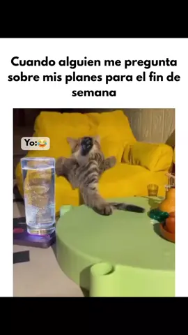 #humorlatino #findesemana #tiktok #dormir 