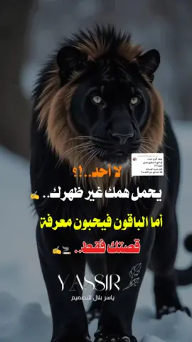 الرد على @ahmedjtw518 #مصمم_فيديوهات🎬🎵 #فلسفة_الفقراء🎩 #سودانيززز♥️_تيك_توك_♥️🎶🌸 #خواطر_سودانية🇸🇩💜 