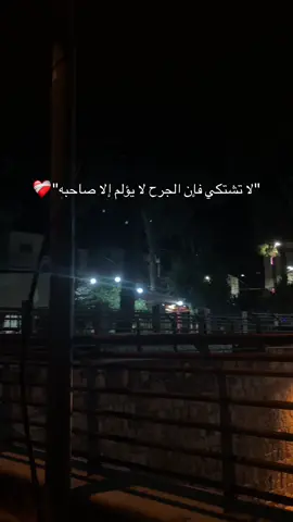 #نابلس #حيفا_فلسطين_عرب_48 #خيل_وخياله🐎 