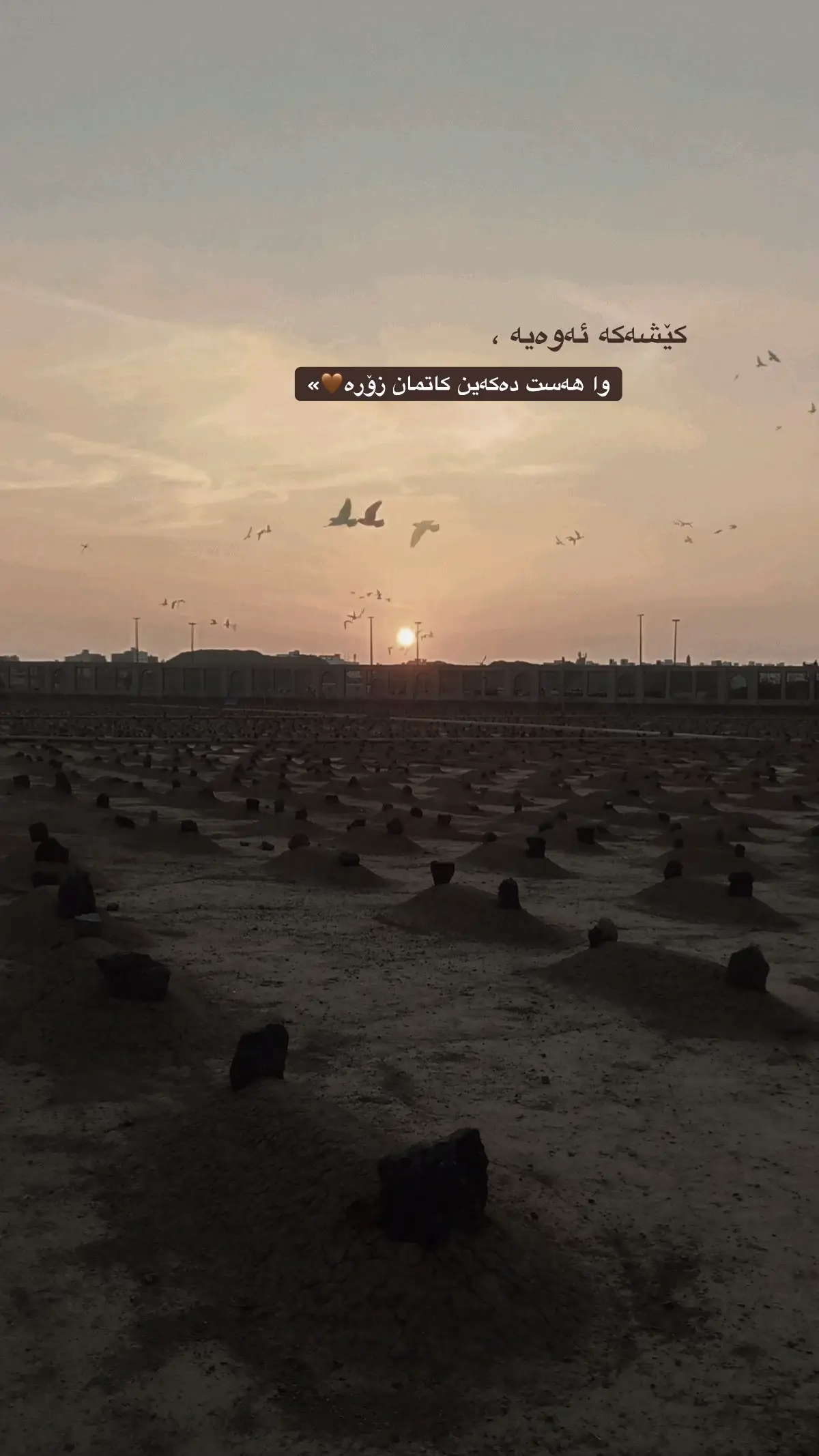 #creatorinsights #fpy #سبحان_الله_وبحمده_سبحان_الله_العظيم #islamreminders #لايك__explore___ @TikTok @TikTok 