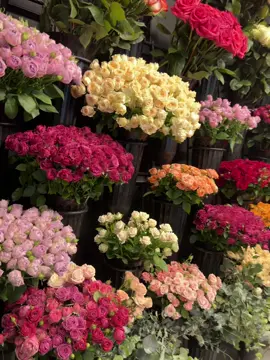 🫠 @Cennet.flowers #fyp #keşfet #flowers #flower #keşfetbeniöneçıkar 